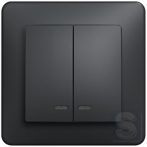 Двухклавишный выключатель с подсветкой Schneider Sedna Design Черный без рамки (SDD114105L) Двухклавишный выключатель с подсветкой Schneider Sedna Design Черный без рамки (SDD114105L)